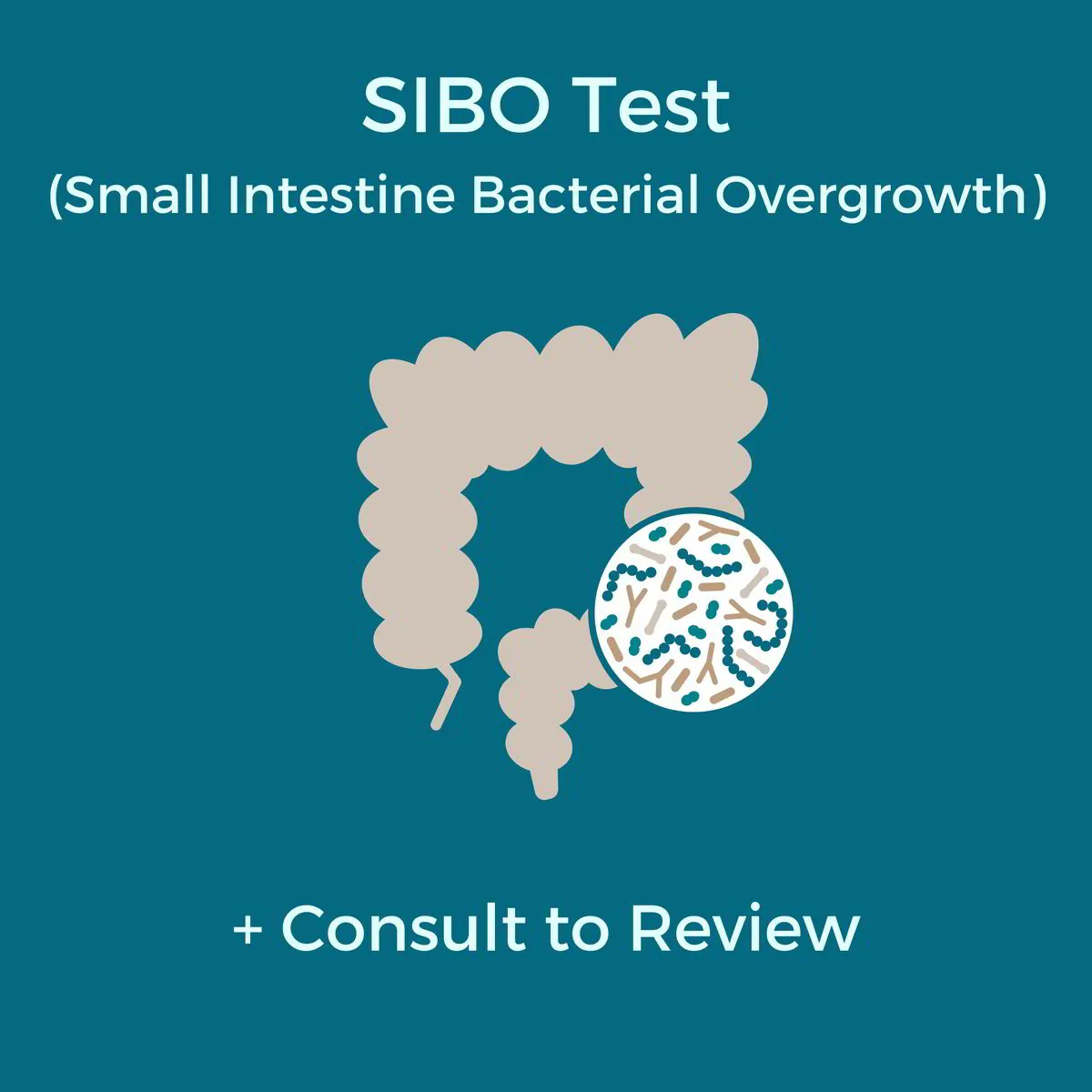 SIBO Test + Consultation