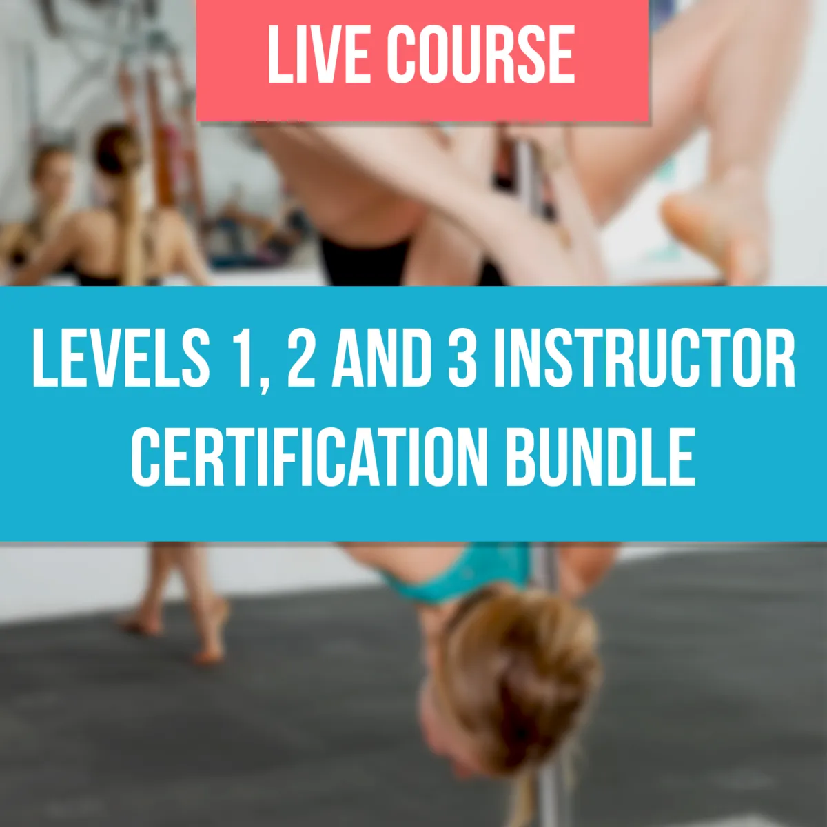 Level 1, 2 and 3 Bundle - Las Vegas, October 14, 15, and 16, 2022: DEPOSIT ONLY