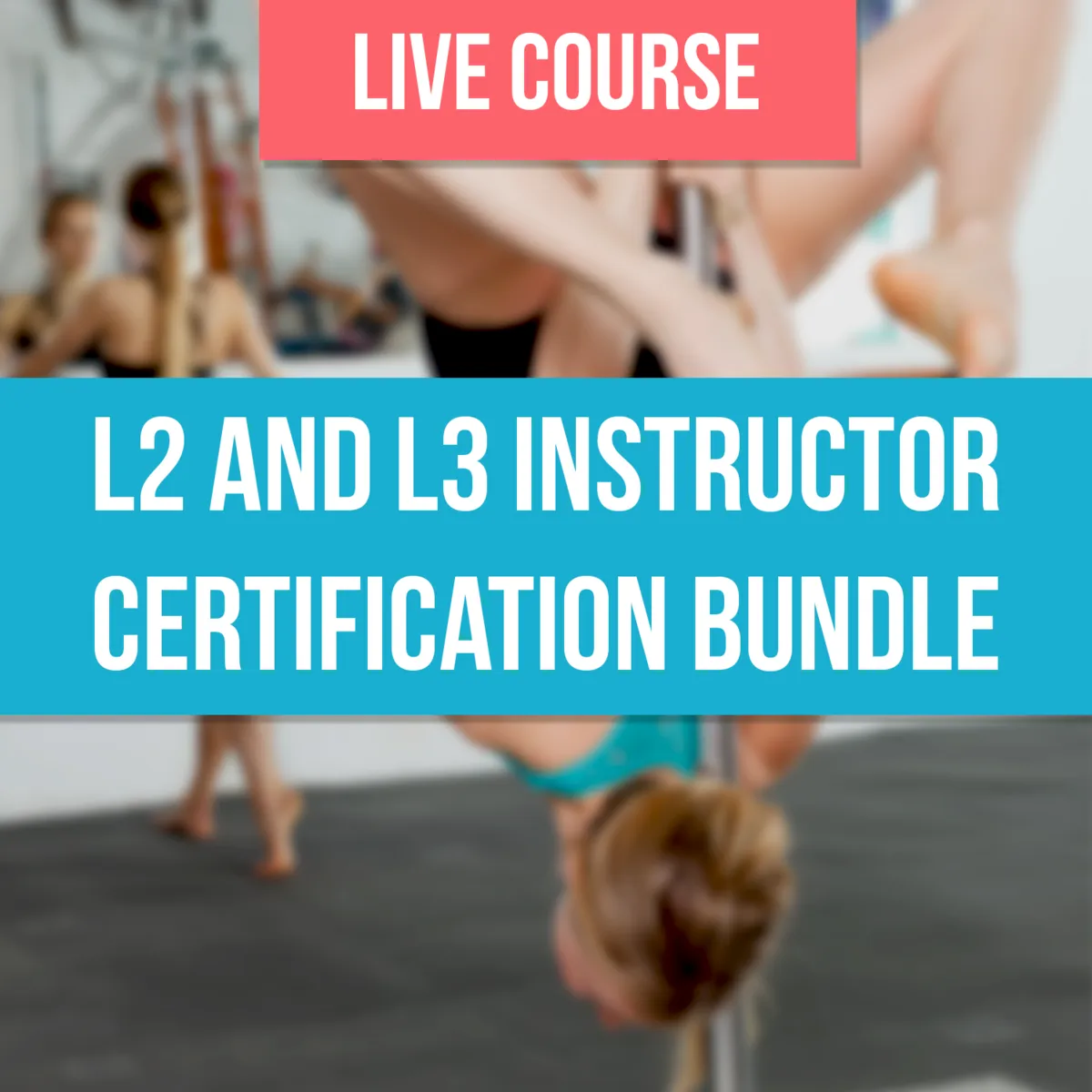 Level 2 and 3 Bundle - Las Vegas, October 15 and 16, 2022: DEPOSIT ONLY