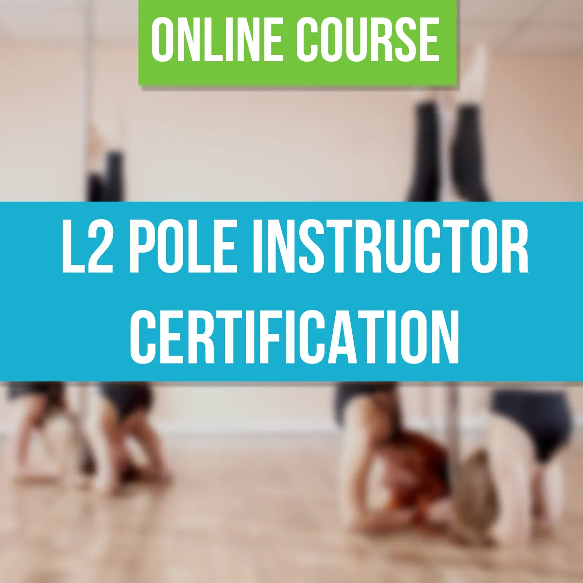 Level 2 Online Training and Certification