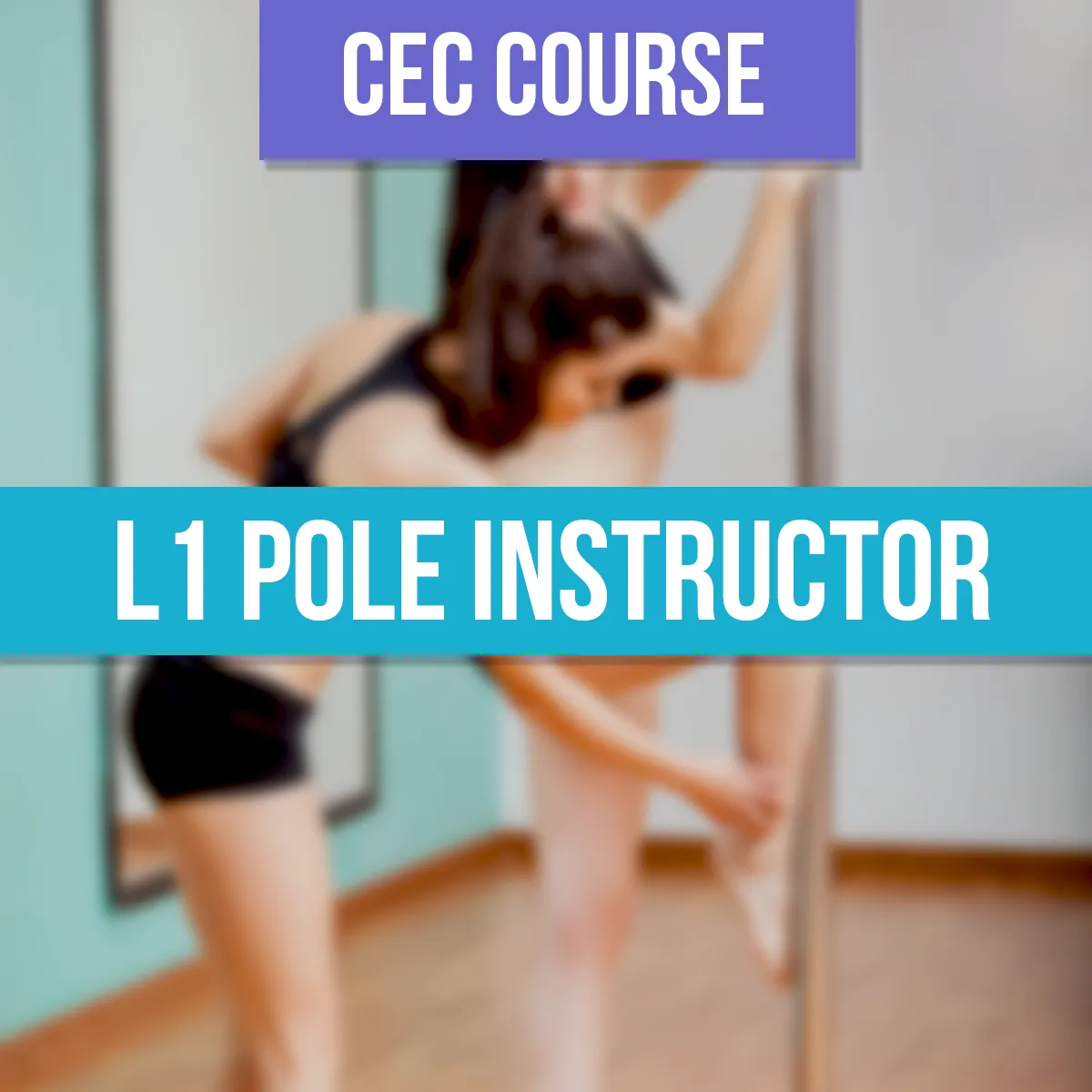 Level 1 Continuing Ed Course - CEC Credits Only with NO Certification