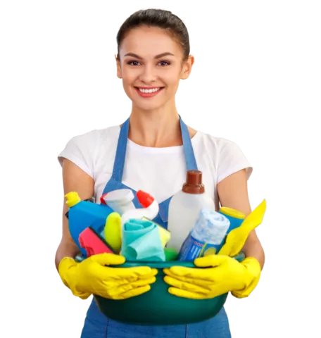 professional cleaning services in south florida 