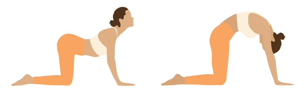 Yoga Poses to Strengthen and Support Your Spine