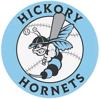 Hornets Baseball Team