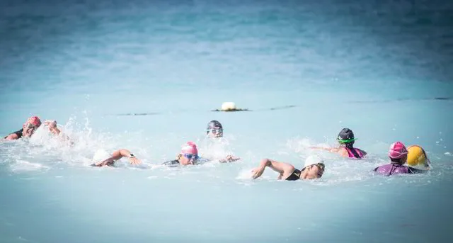 Open Water Group Swim ( Private Swimming Workshop for triathletes )