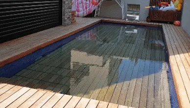 Raisable Pool Floor