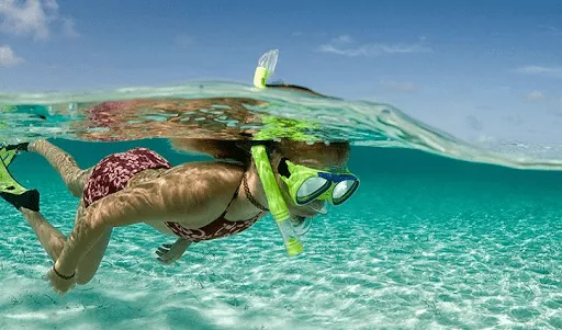 Snorkelling