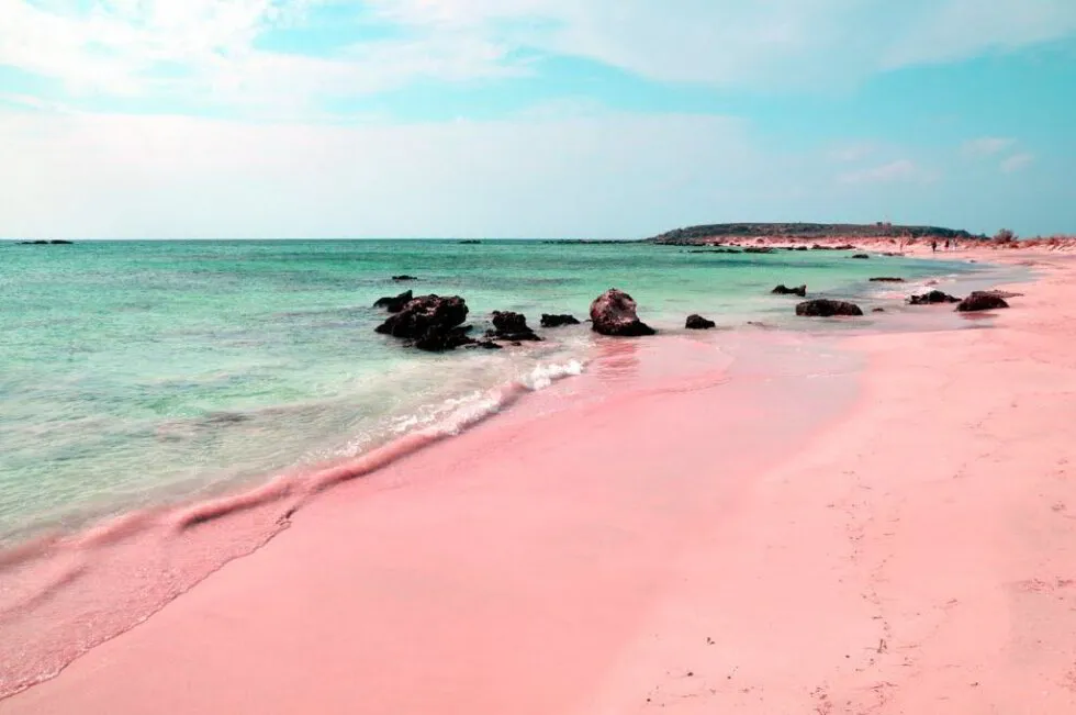 Pink Sands Beach by pandotrip