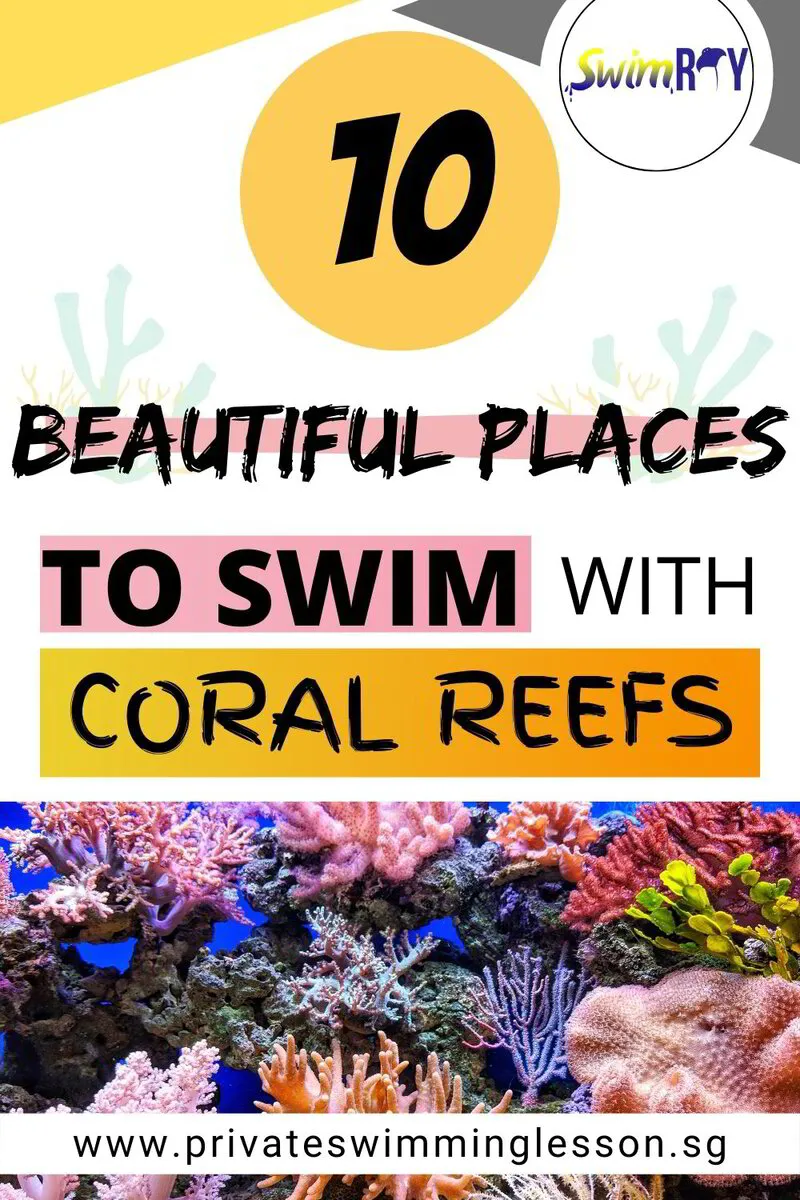 10 Beautiful Places to Swim to see Coral Reefs