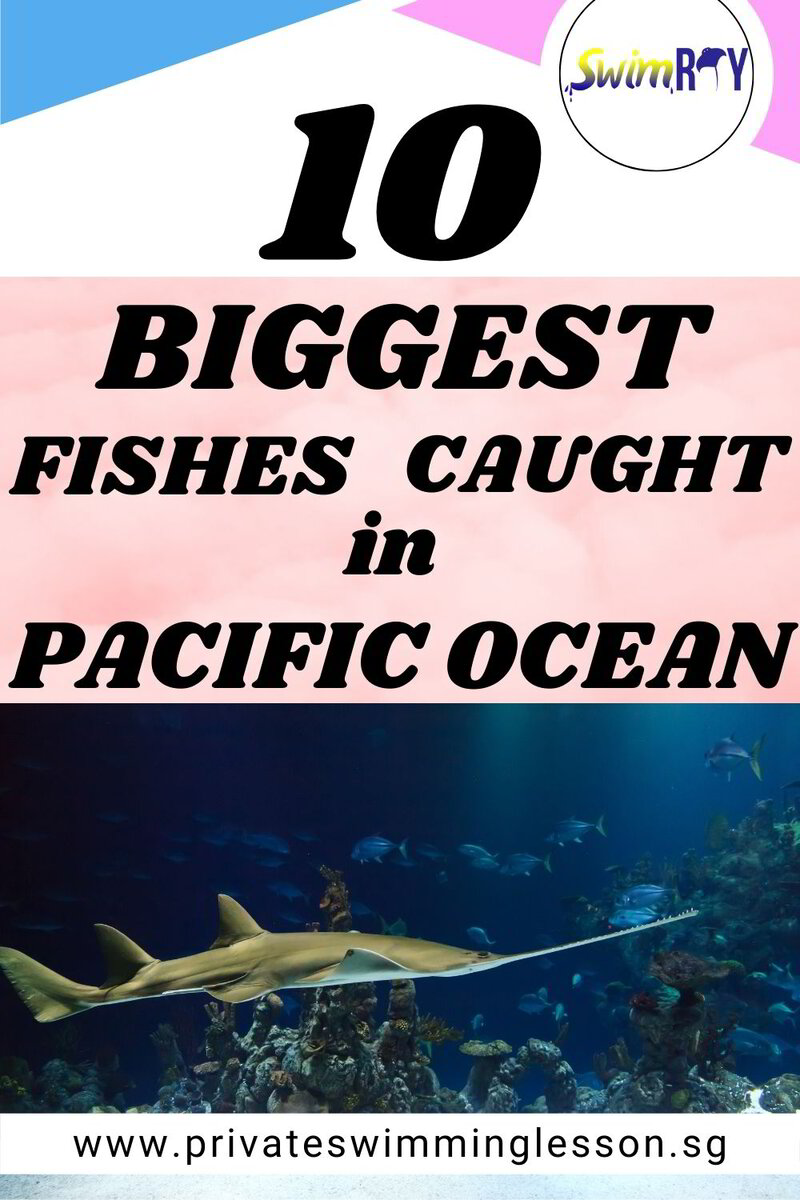 pacific ocean fish