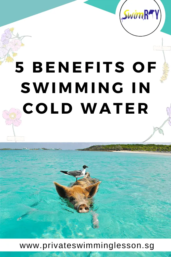 5 Benefits of Swimming in Cold Water