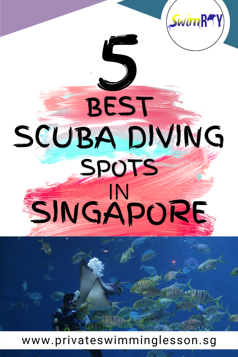 5 Best Places For Scuba Diving In Singapore