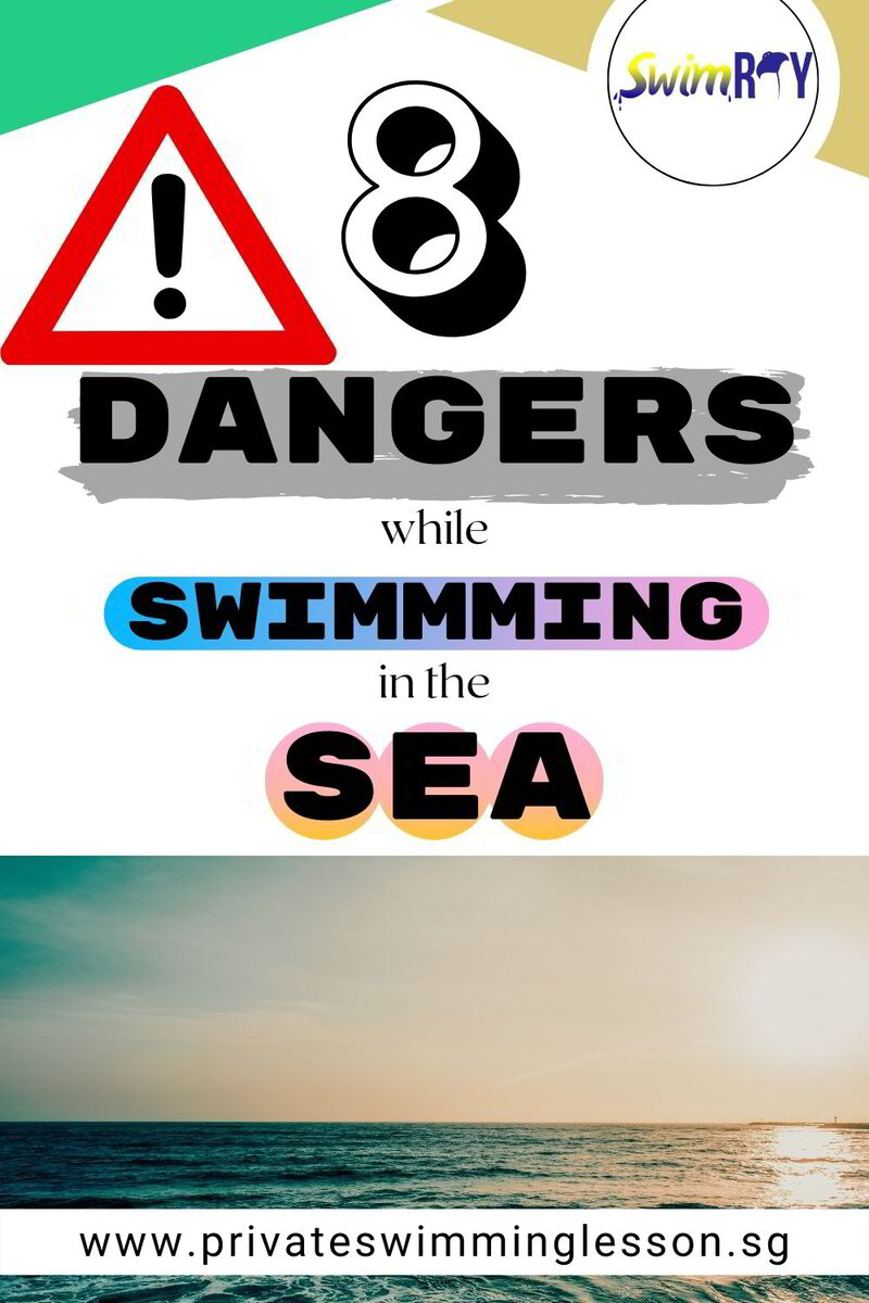 8 Dangers While Swimming In The Sea