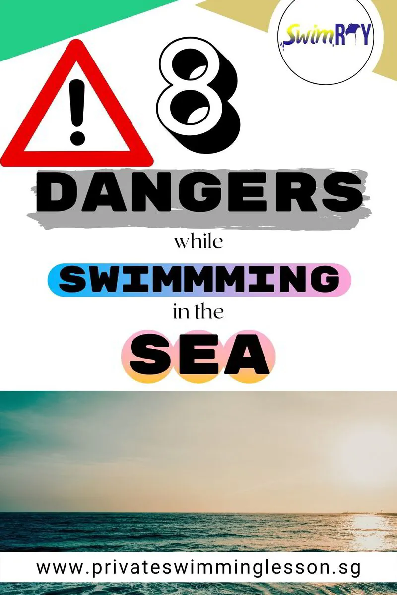 8 Dangers While Swimming In The Sea