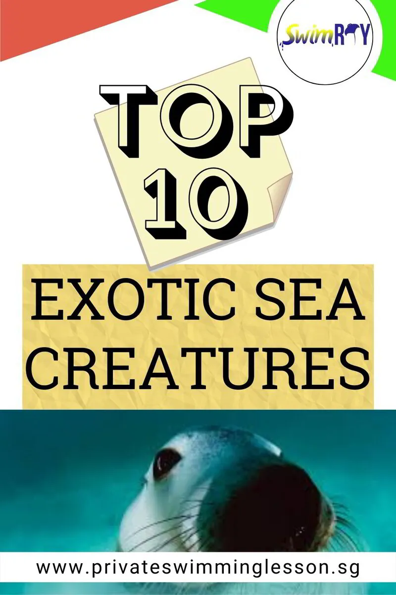 Top 10 Exotic Sea Creatures