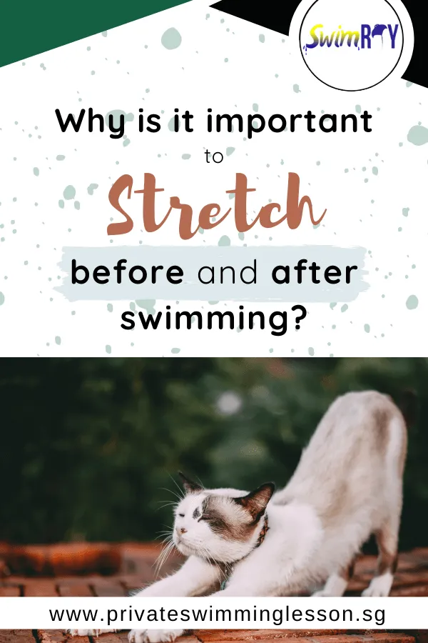 Why Is It Important To Stretch Before and After Swimming?