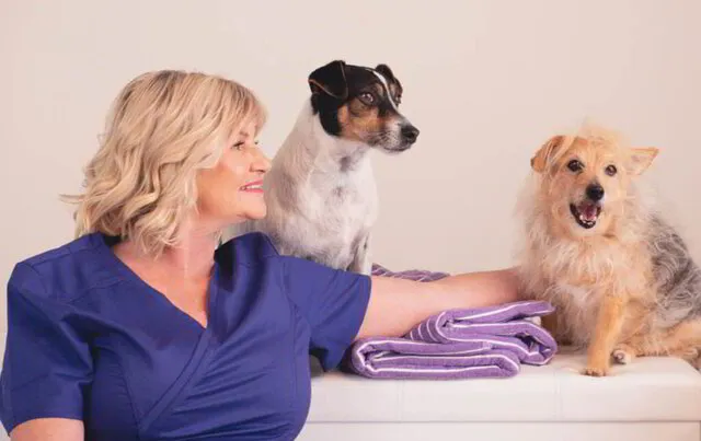 Sara-Jane Andrews Treats Canine Massage & Remedial Therapy