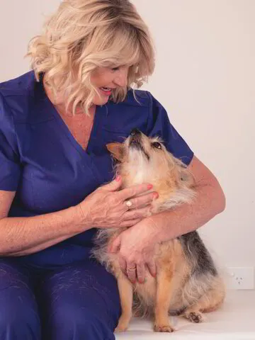 Sara-Jane Andrews Treats Canine Massage & Remedial Therapy