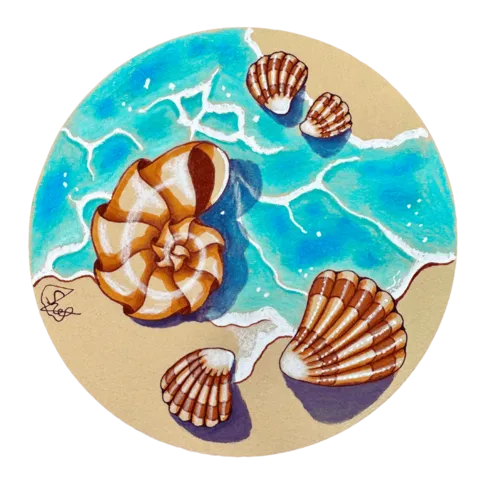 Seashell Symphony Checkout