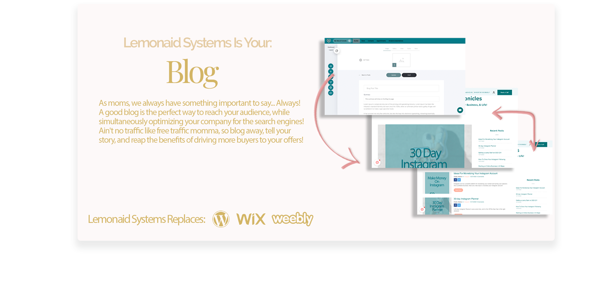 Lemonaid Systems™ The Business Platform For Moms