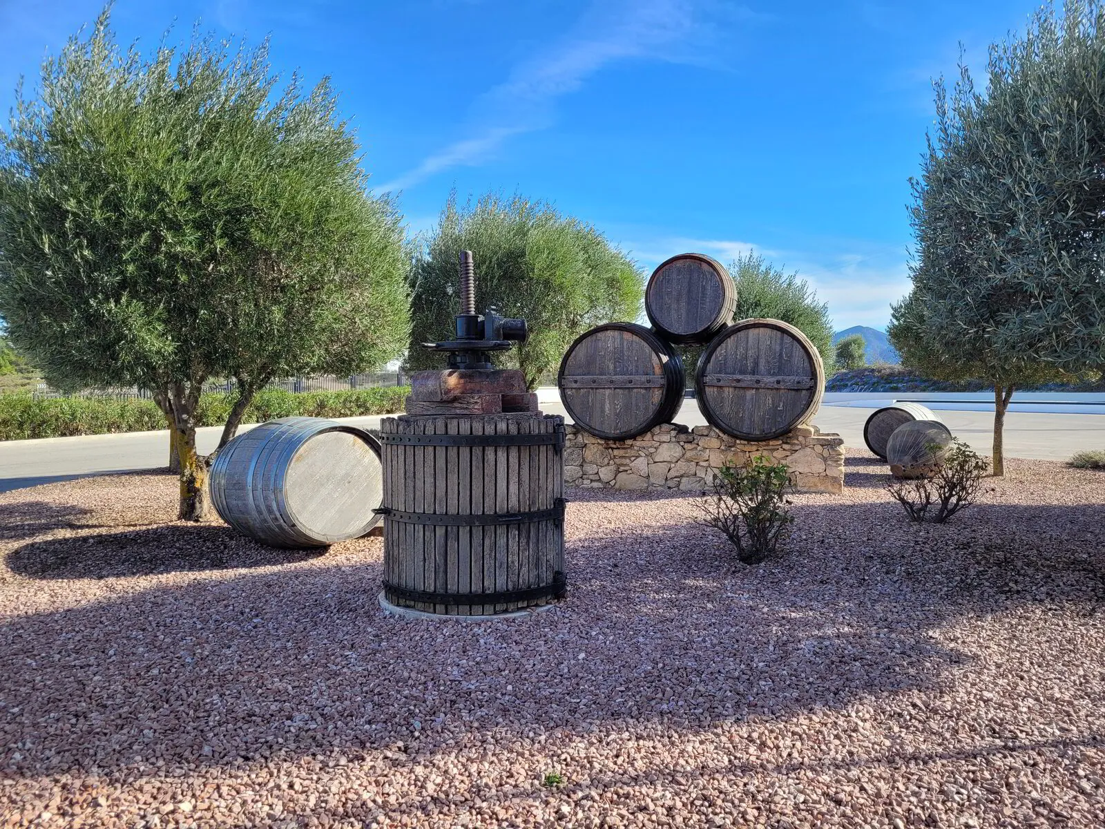 Bezoek aan Bodegas Volver Tarima – Pinoso, Spanje