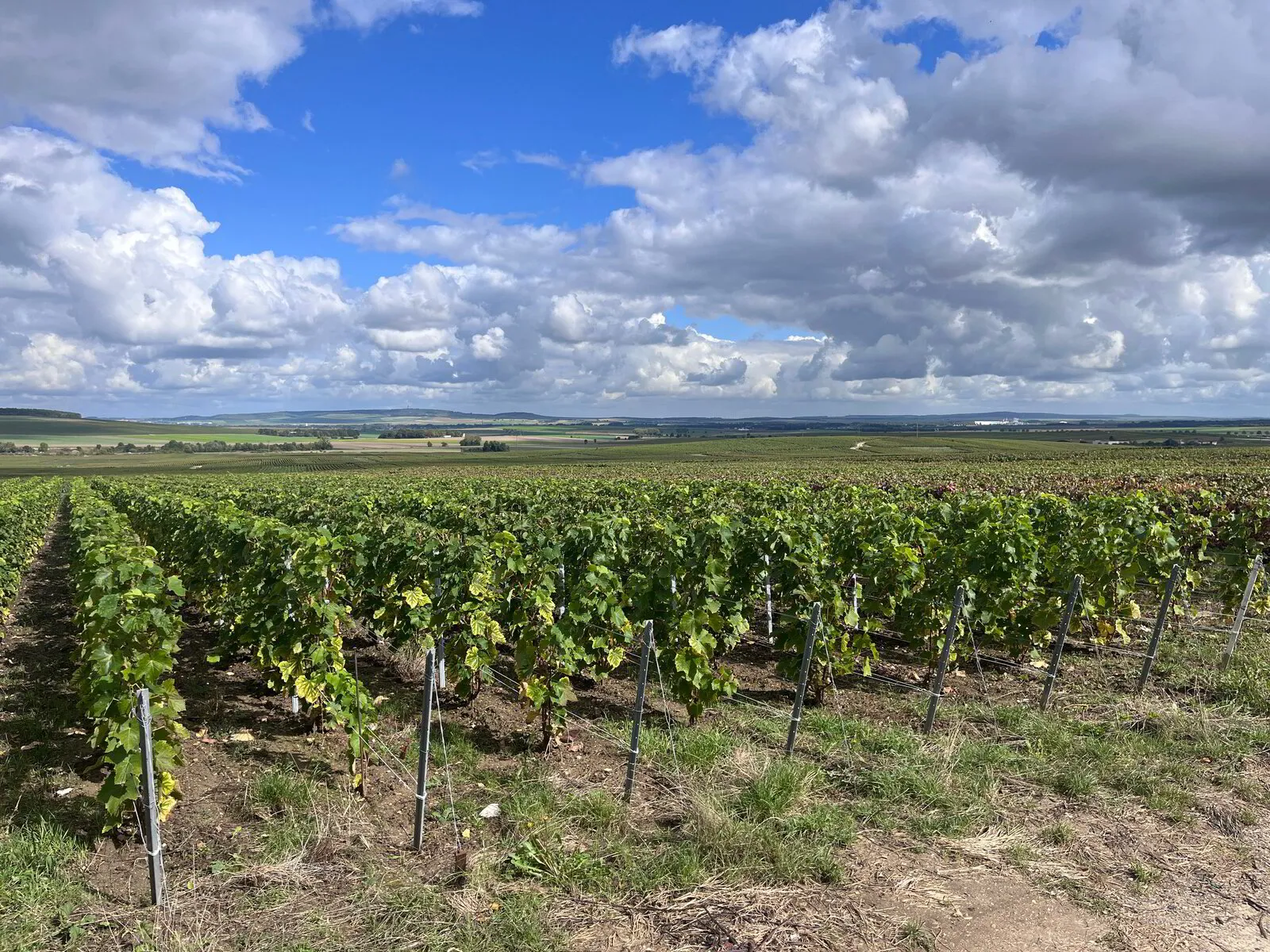 Champagnereisje 27-29/9