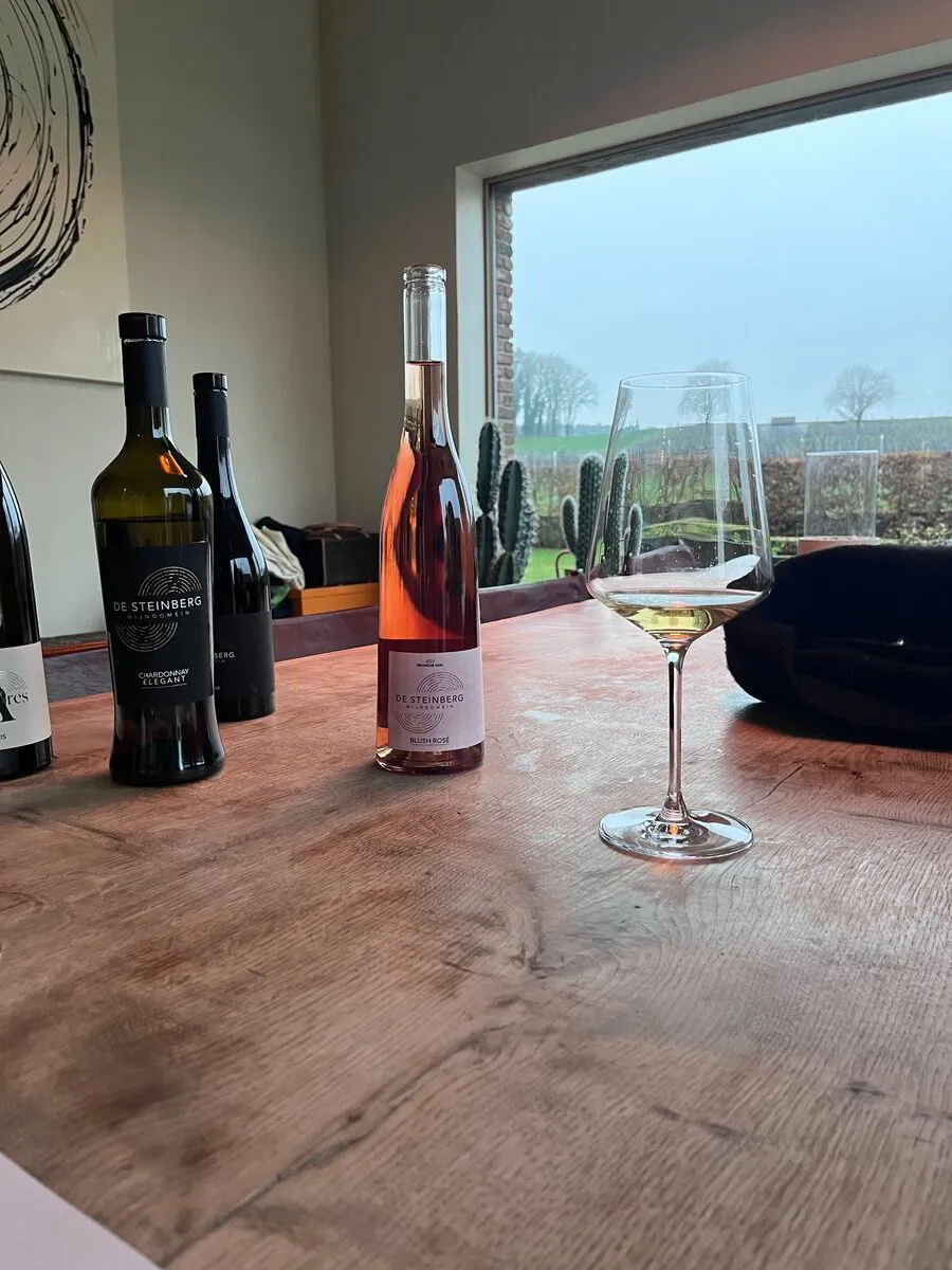 Bezoek en samenwerking met Wijndomein De Steinberg