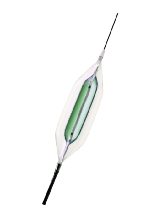 PTA Balloon Catheters