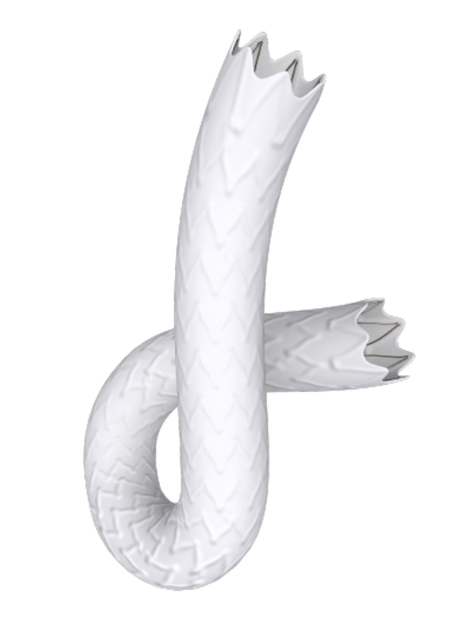 Stent Grafts