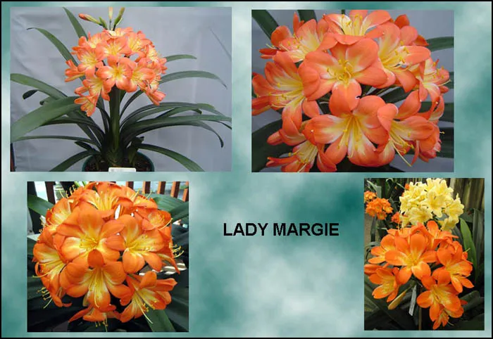 Lady Margie