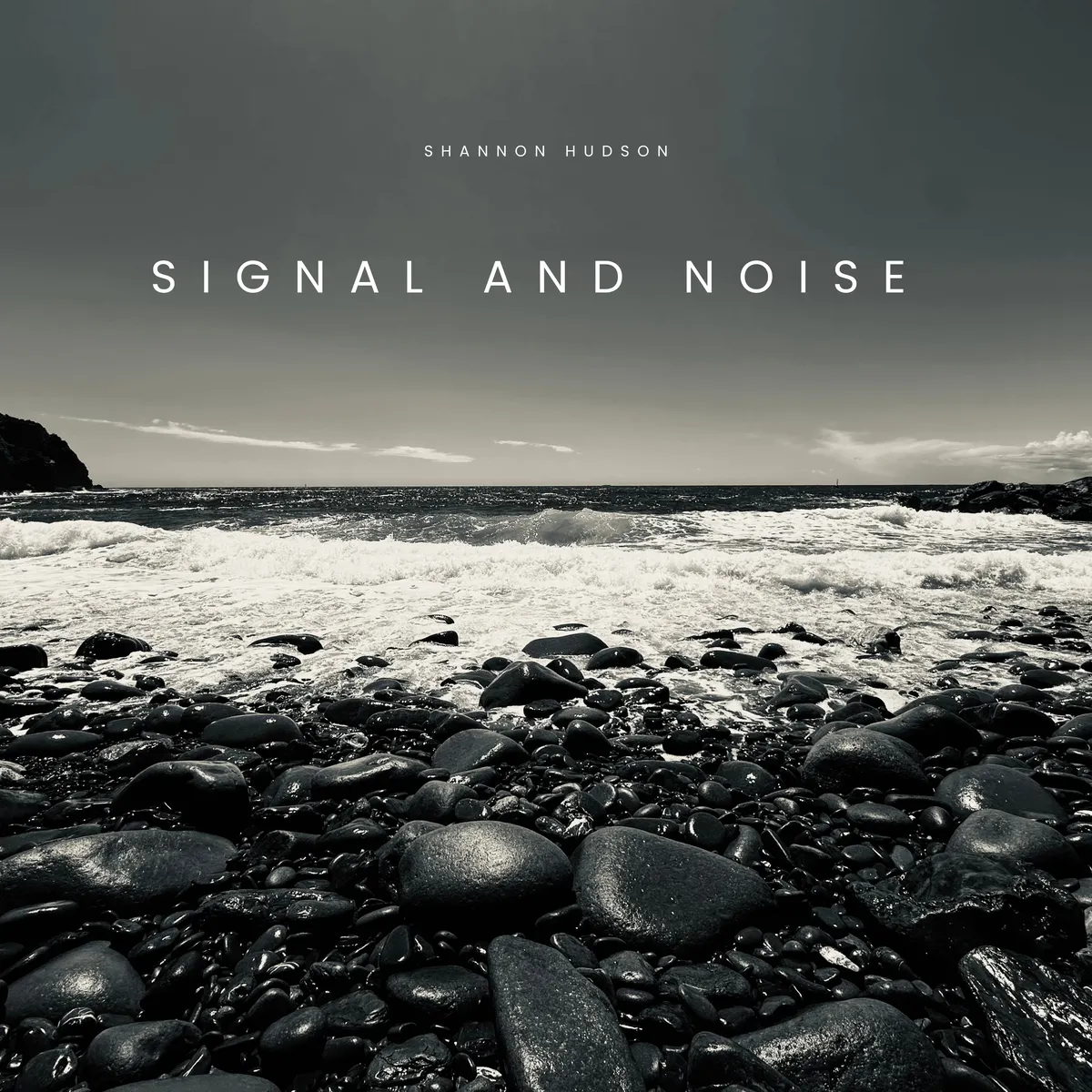Signal and Noise LP (Vinyl) Limited Edition, Autographed, First