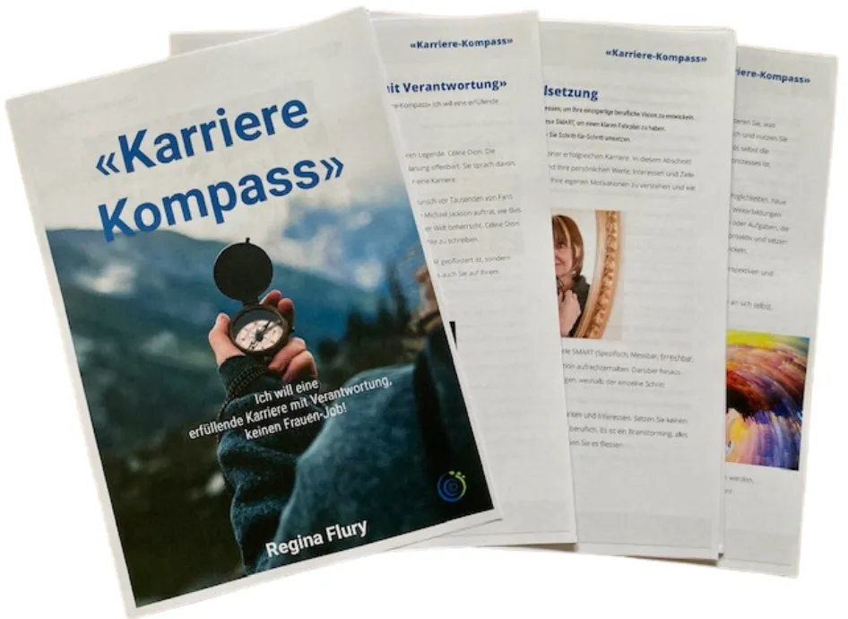 «Karriere Kompass» E-Book