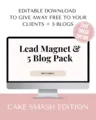 Cake Smash Blog Pack & Lead Magnet