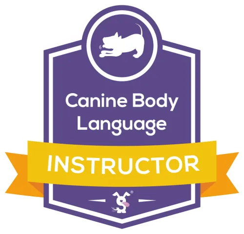 Tina Elven | Qualified Dog Trainer | Canine Body Language Instructor | Kettering