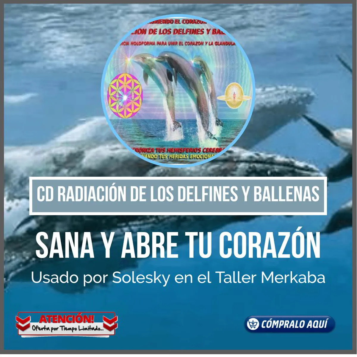 Frecuencias Radiación de los Delfines y Ballenas $14 USD