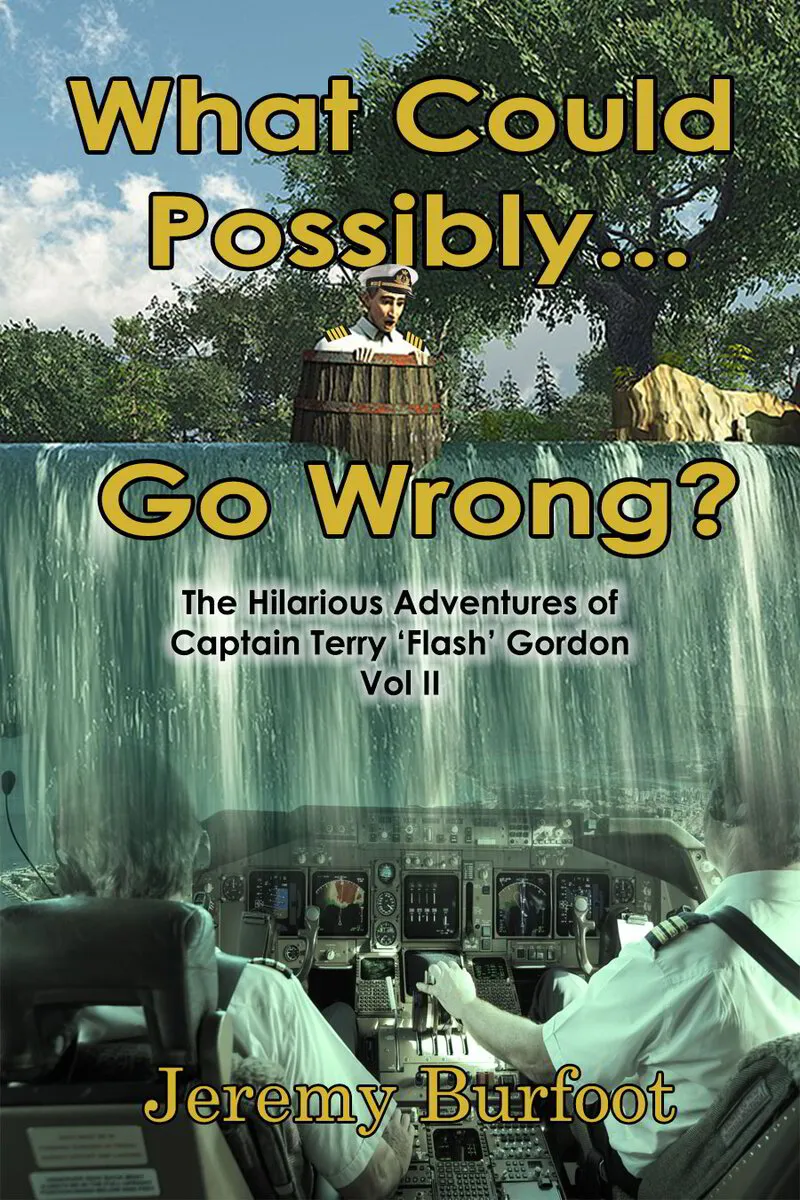 'What Could Possibly Go Wrong' book