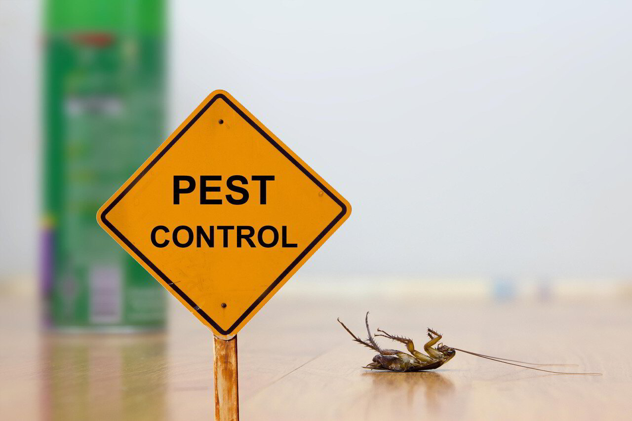 Services Pest Prevention