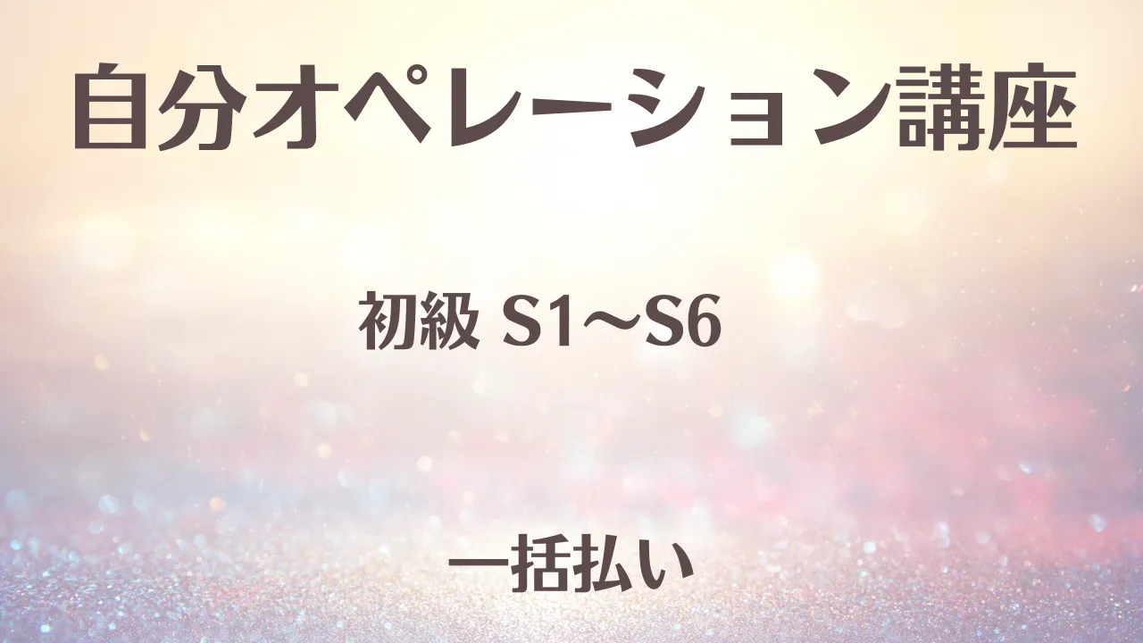 自分オペレーション講座 初級　一活払い