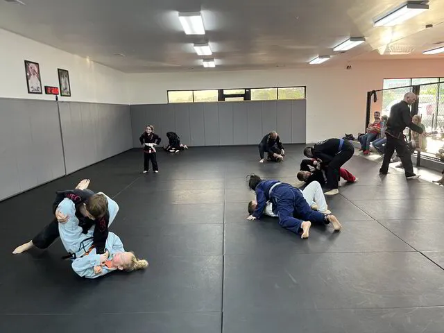 Independent MMA & Fitness of Villa Rica Kids Brazilian Jiu-Jitsu Class Training