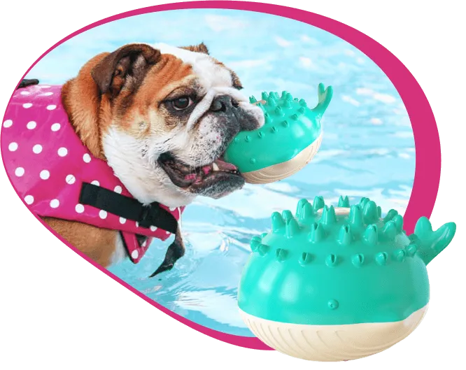 Water Sprayer Doggie Toy