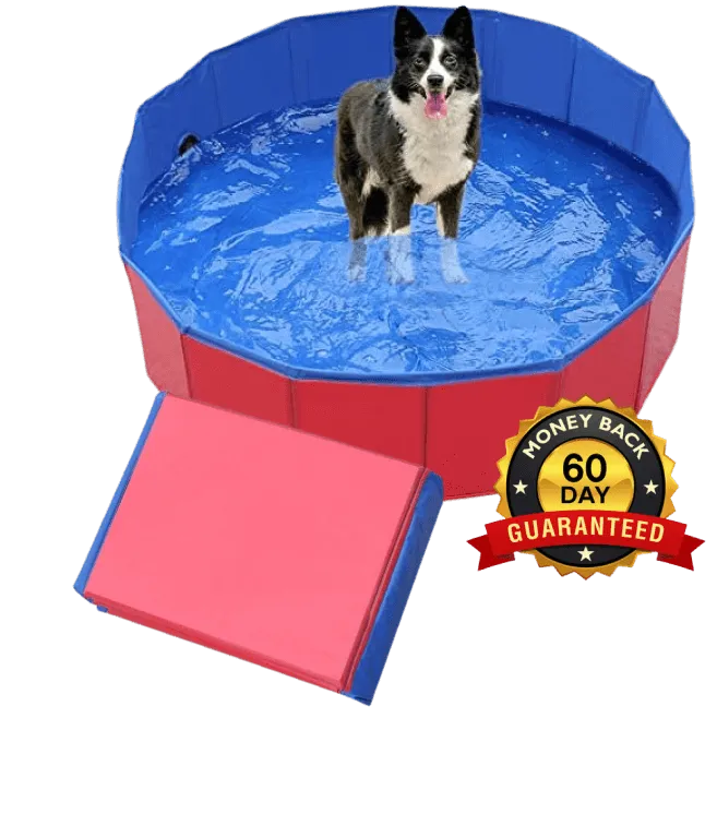 Puppy Pool Folding Bath Tub