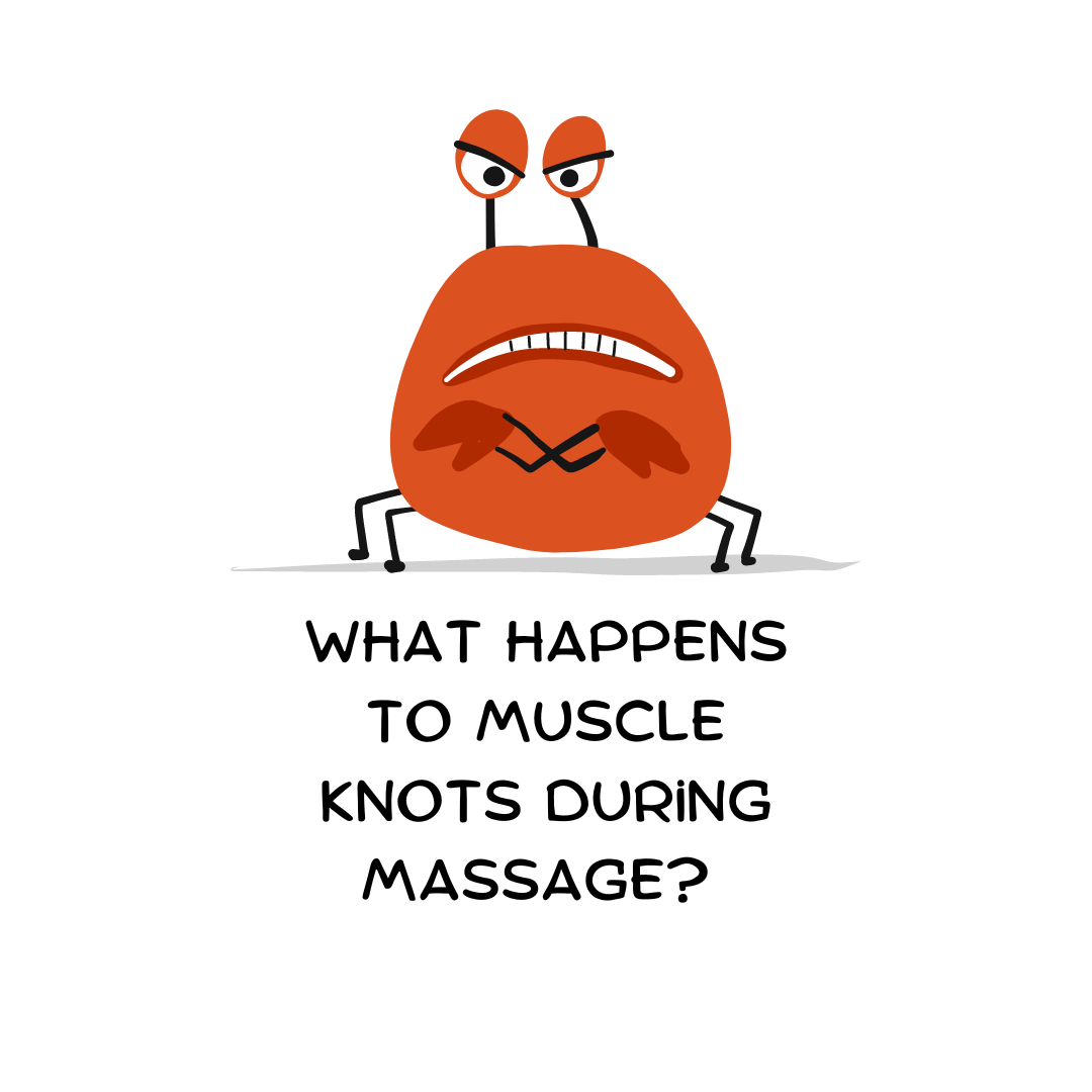 What are Muscle Knots?