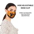 Adult Masks (5 Pack)