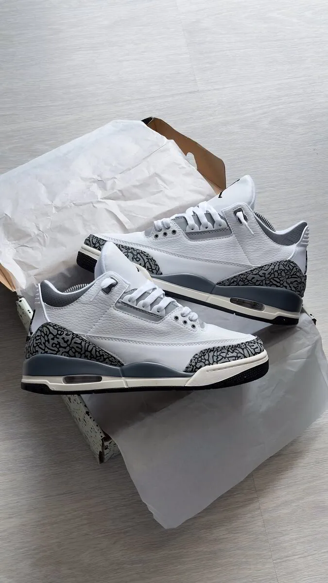 Air Jordan 3 Retro Hide N' Sneak