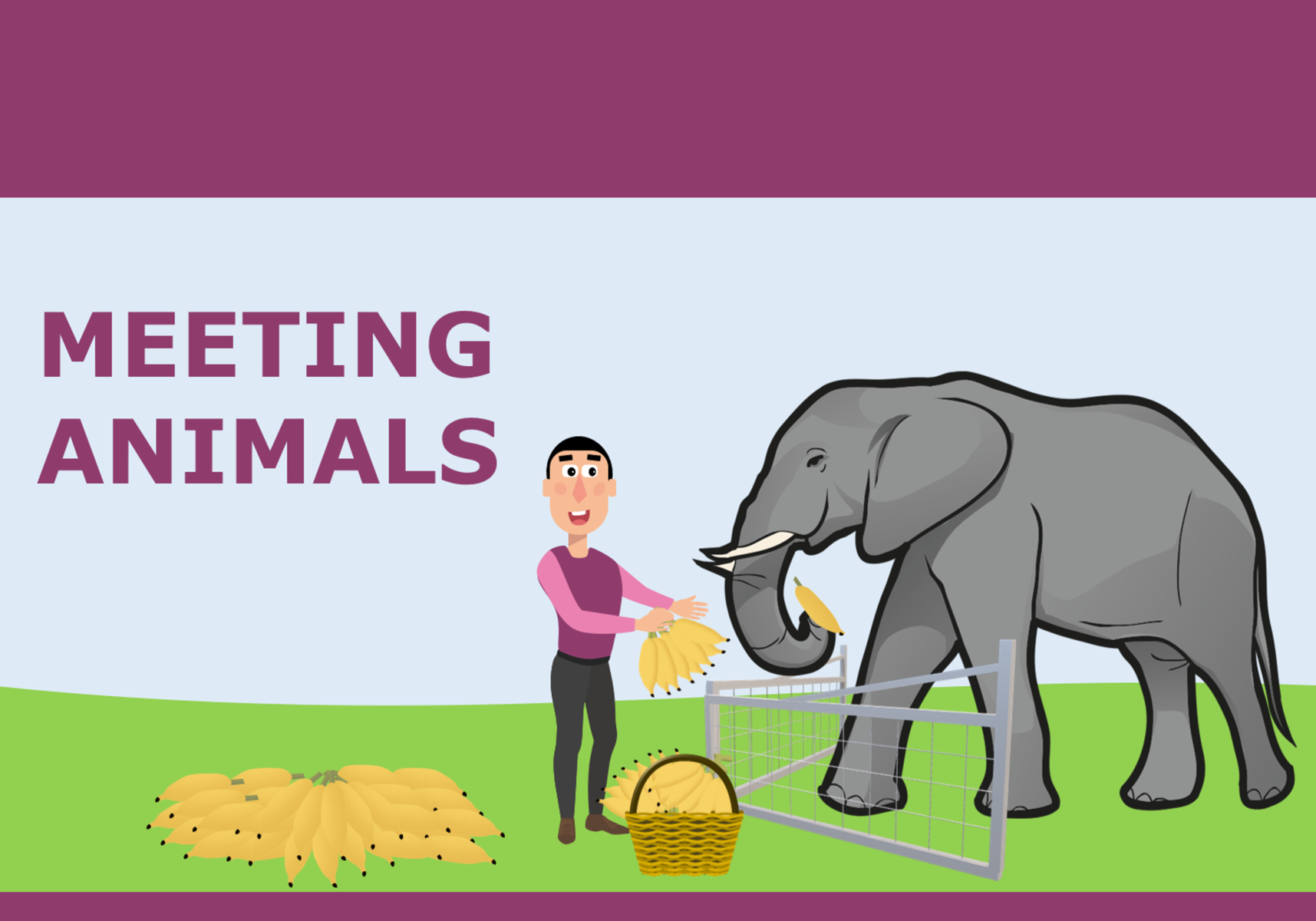 IELTS TOPIC: Getting Close To Animals