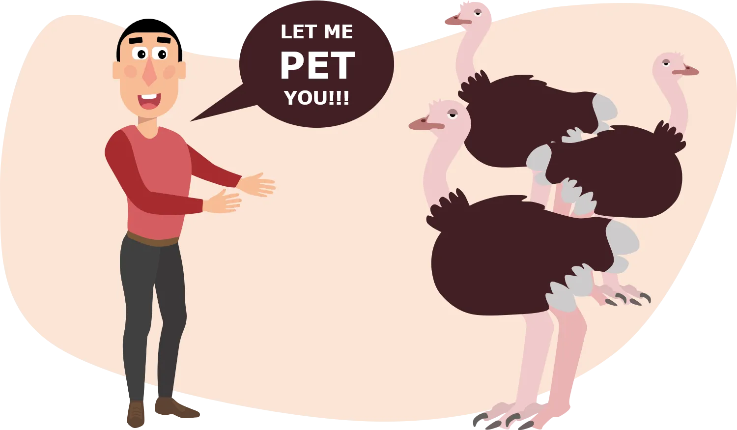 Ielts Speaking Part 1 Wild Animals