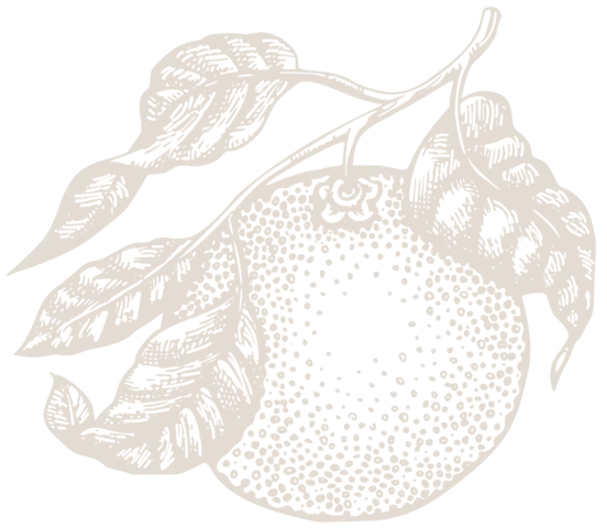 Black and white illustration of a lemon with leaves and a halftone pattern.