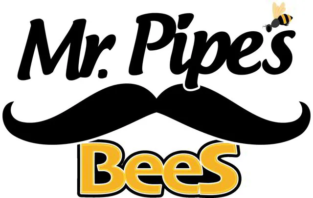 MR PIPE´S BEES