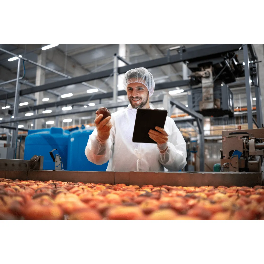 Opitimizacion de procesos