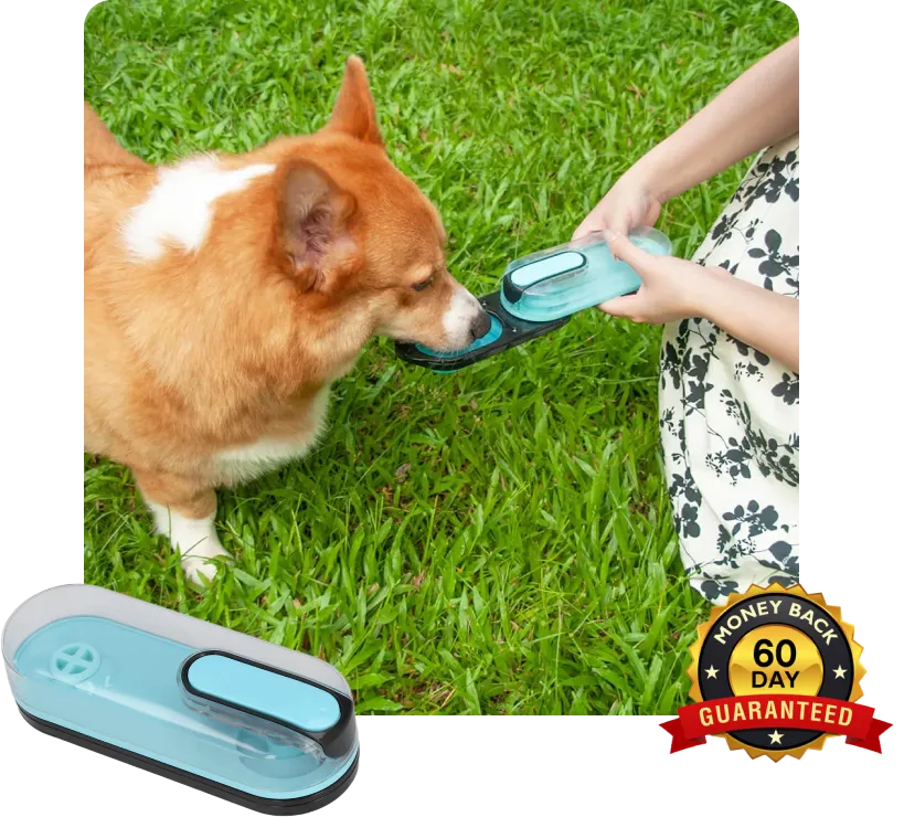 Dog Water Dispenser